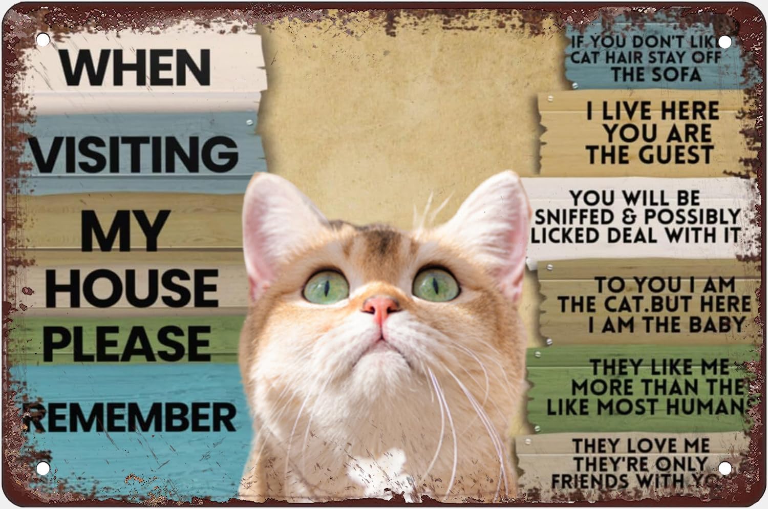 Bathroom Home Visit - Targa in metallo vintage con messaggio