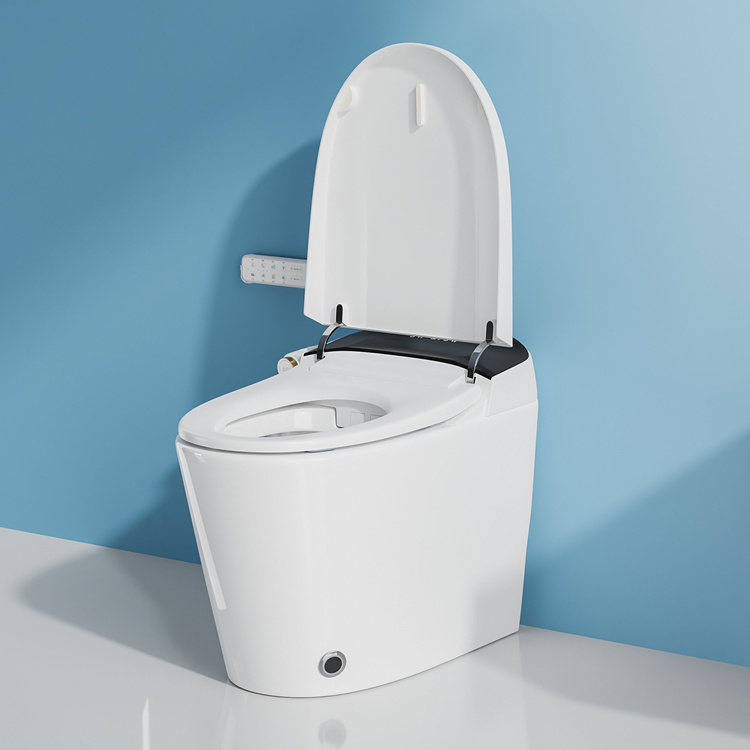 WC Intelligente con Sensore di - Home Bathroom recensione e prezzo